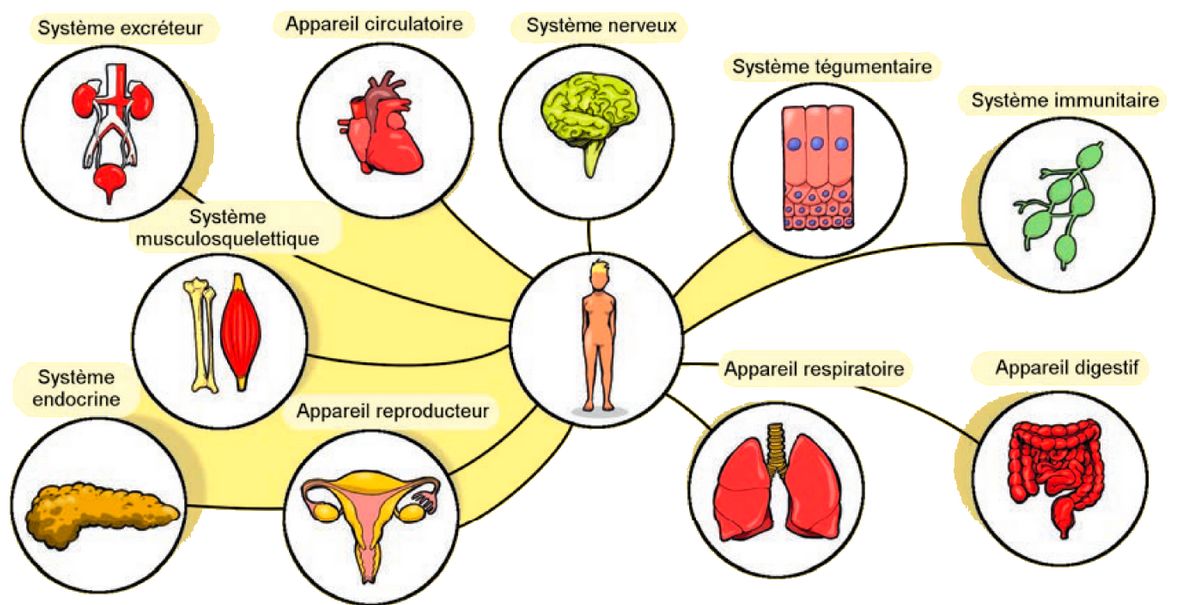 Systèmes et appareils