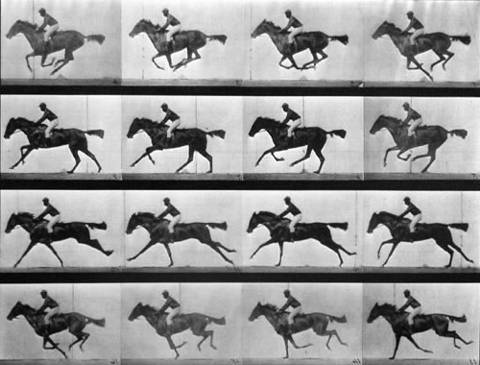 Séries de photographies représentant le galop d'un cheval par Muybridge, 1887